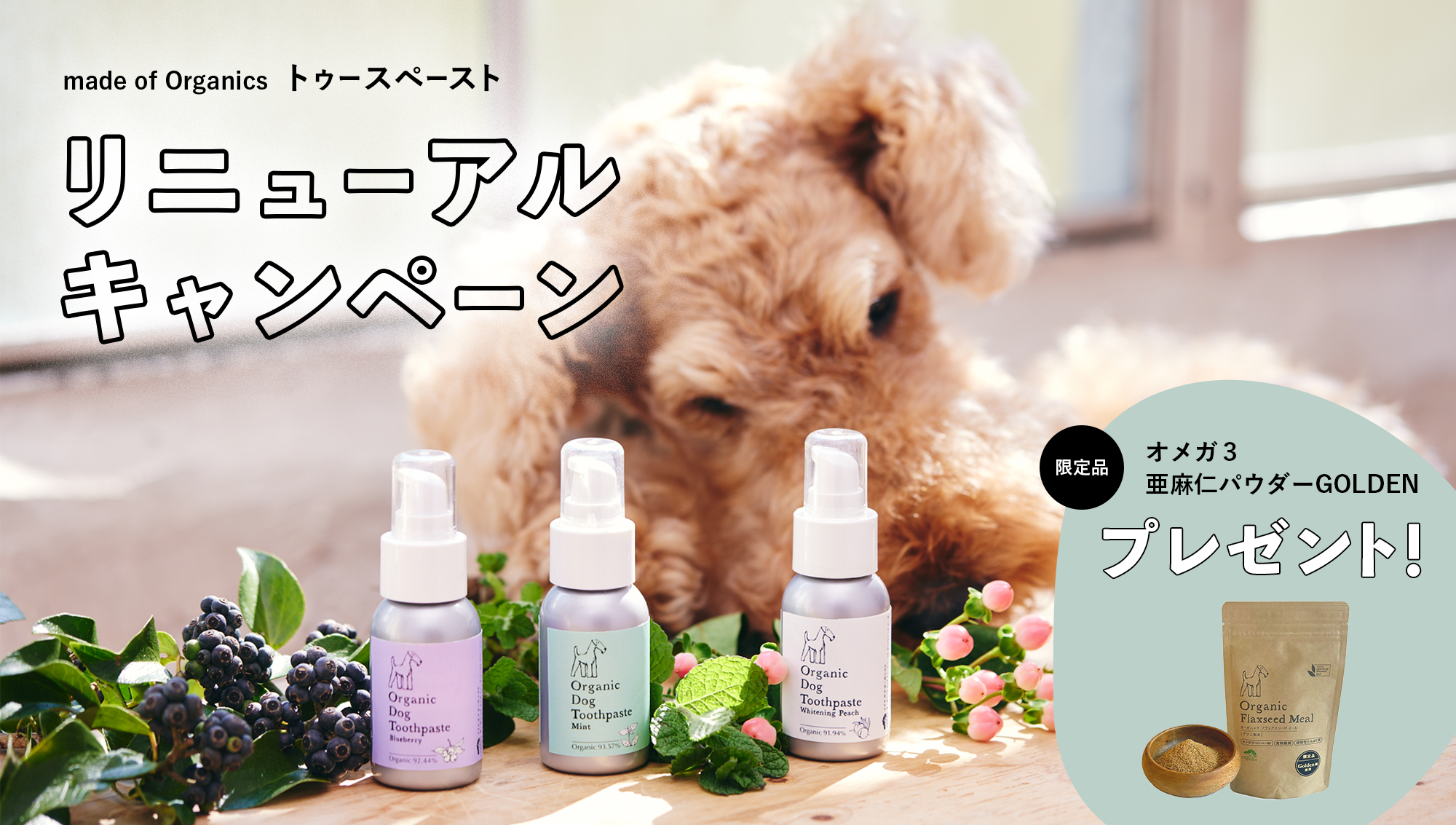 犬用だからこそ、トゥースペーストはオーガニック＆天然由来成分を選ぶべき