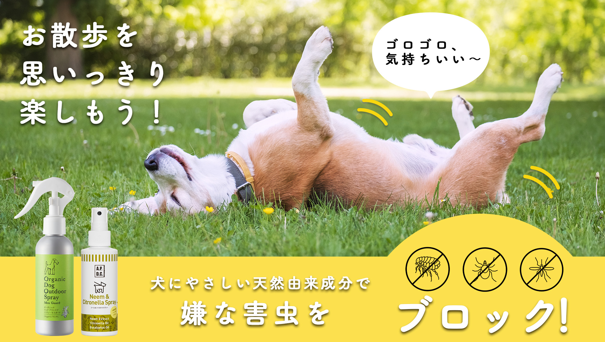 愛犬、愛猫の「マダニ」「蚊」「ノミ」害虫対策。大切なペットを守るためのおさらい